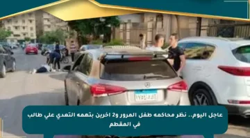 عاجل اليوم.. نظر محاكمة طفل المرور و2 آخرين بتهمة التعدي على طالب في المقطم